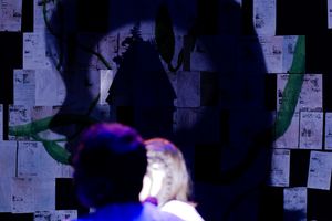 King of Shadows, photo 17 of 49