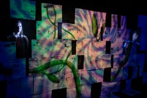 King of Shadows, photo 47 of 49